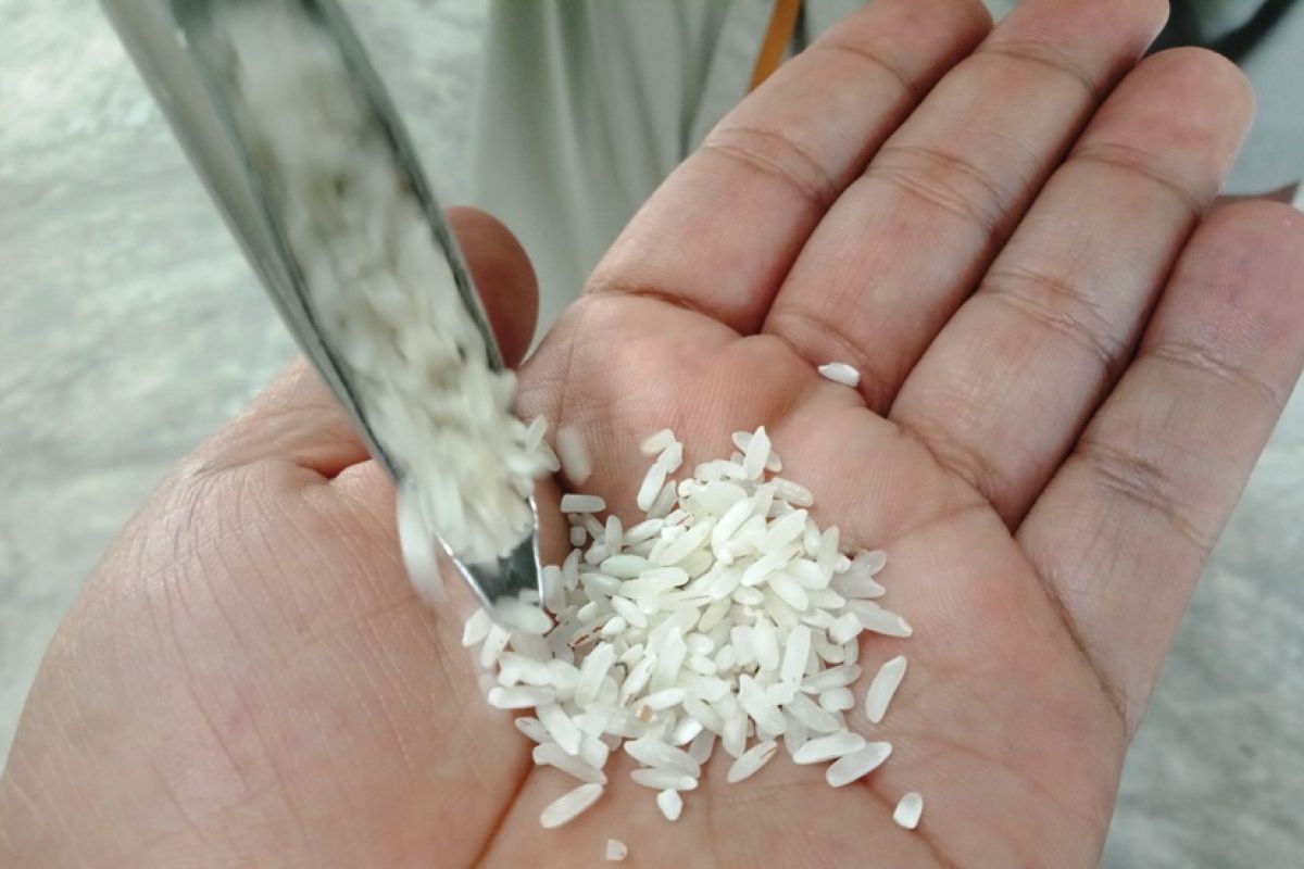 Bulog siapkan 1.600 ton antisipasi kenaikan harga beras di barat Aceh