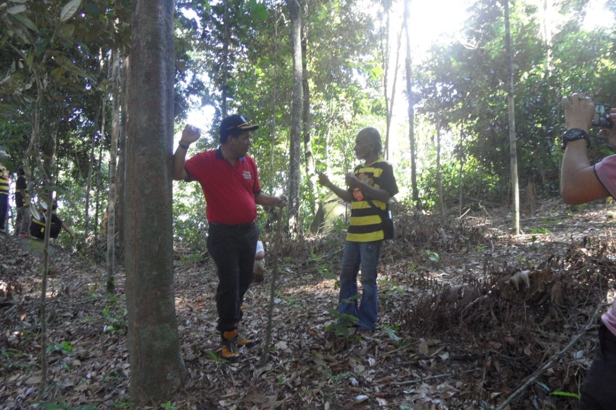 Dishut Babel rintis usaha masyarakat dengan memanfaatkan potensi hutan