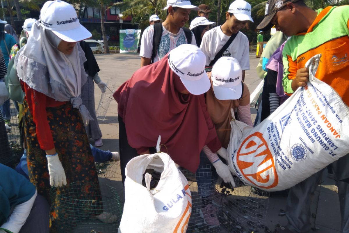 Three tons of green mussels to clean polluted Jakarta Bay