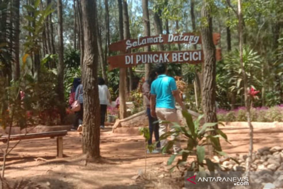 Pengelola Wisata Mangunan wacanakan memasukkan budaya sebagai daya tarik