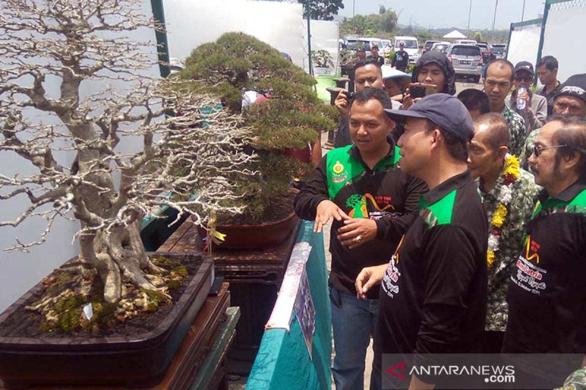 Yonif 405 ingin bangkitkan kembali sentra tanaman bonsai di Kabupaten Banyumas