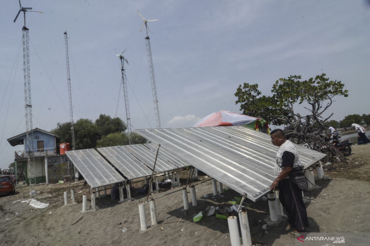 Govt to streamline regulation to expedite renewable energy development