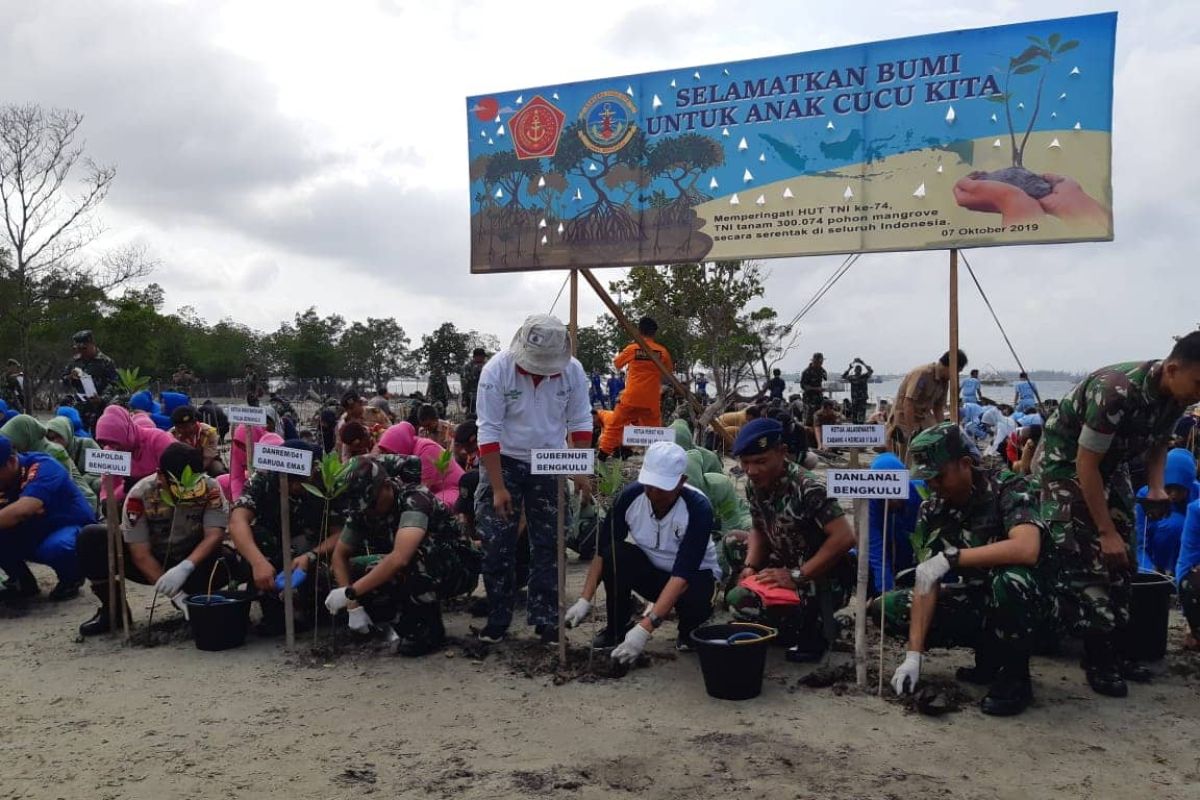 Di Bengkulu, TNI AL tanam 4.500 pohon mangrove