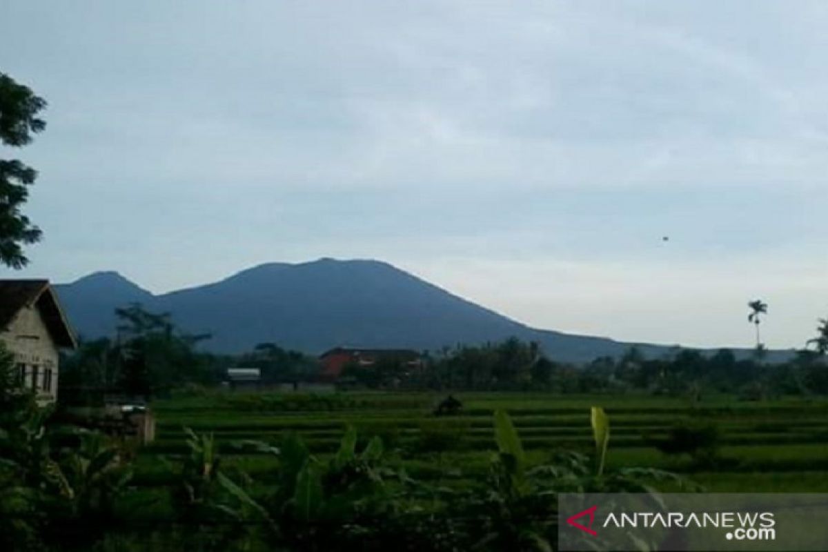 Jalur pendakian Gunung Gede Pangrango aman selama musim kemarau