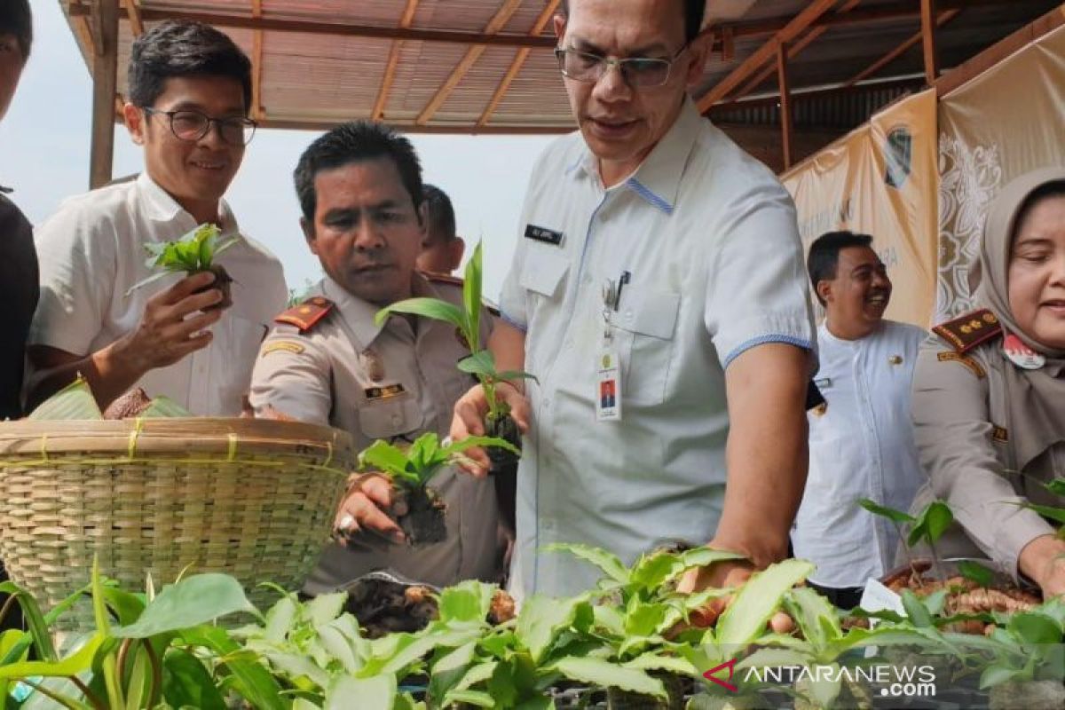 6 produk hortikultura asal Sumatera Utara sangat diminati pasar global