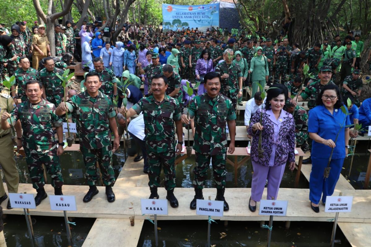 TNI tanam 300.074 bakau dari Sabang sampai Merauke