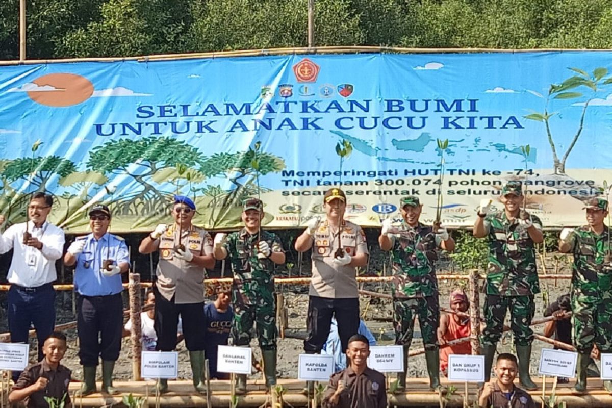 HUT TNI, sejumlah 4500 batang pohon mangrove ditanam di pesisir Banten