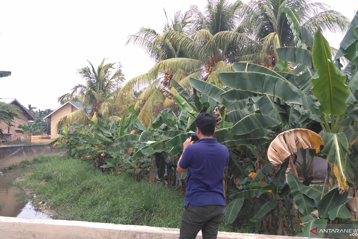 Drainase rawan genangan di Kota Jambi bakal dinormalisasi