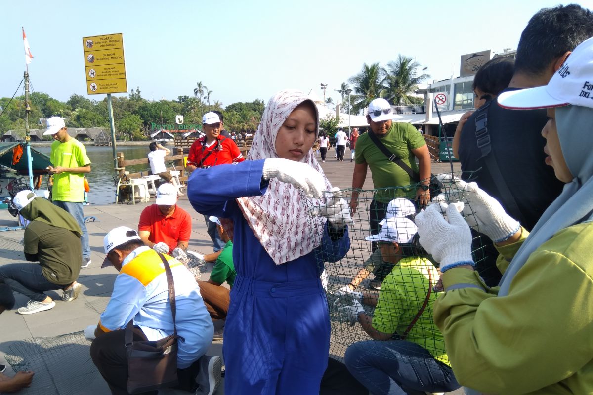 Peneliti : Kerang Hijau Teluk Jakarta cocok untuk biofilter