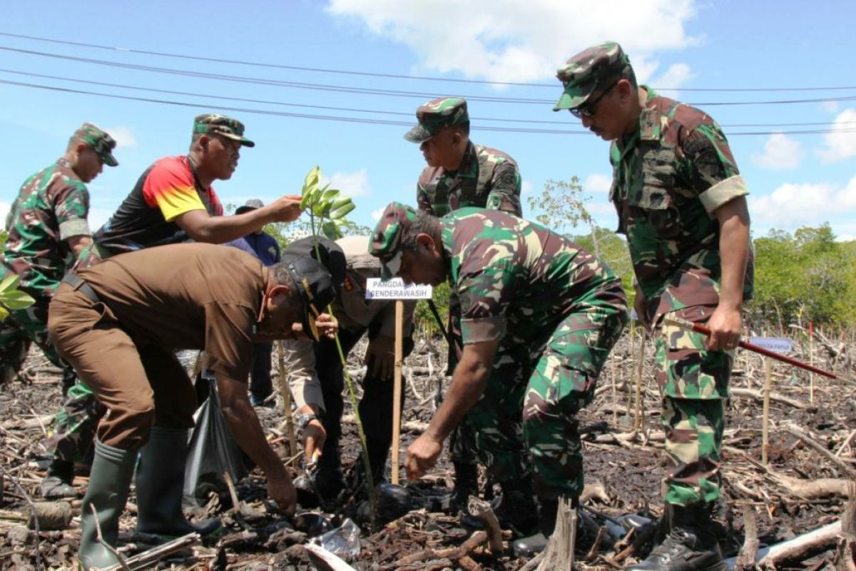 TNI tanam 5.800 pohon mangrove di Kota Jayapura dan Biak