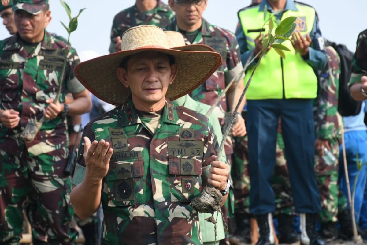 Pangdam I/BB: Hutan mangrove Indonesia terluas di dunia