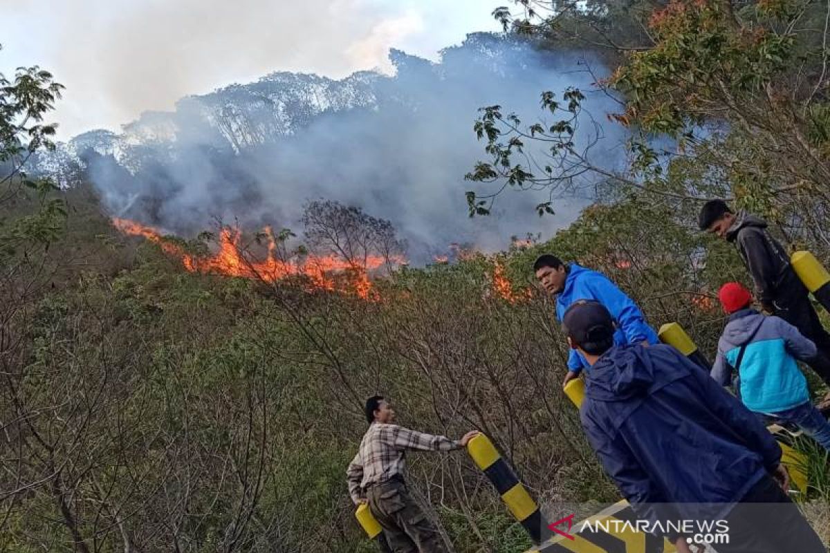 Hutan Gunung Papandayan di Garut terbakar