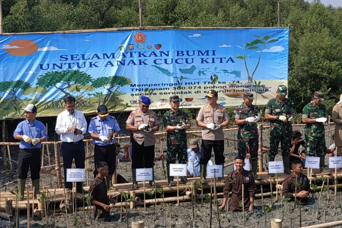 Lanal Banten tanam 5.800 pohon mangrove di  Teluk Banten