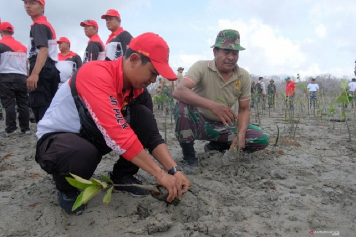 Kodam IX Udayana tanam 5.000 pohon mangrove