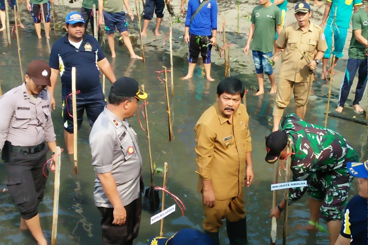 Wawako Sibolga bersama TNI-Polri tanam 3.074 pohon mangrove