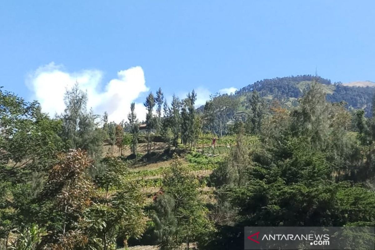 Kebakaran di lereng Merbabu padam