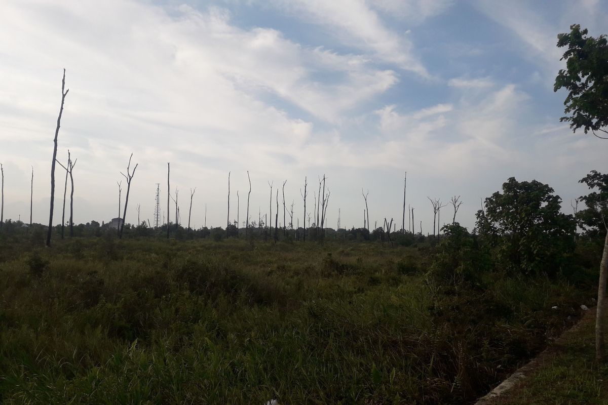 DLH Bangka Tengah akan menata hutan kota jadi kawasan wisata alam