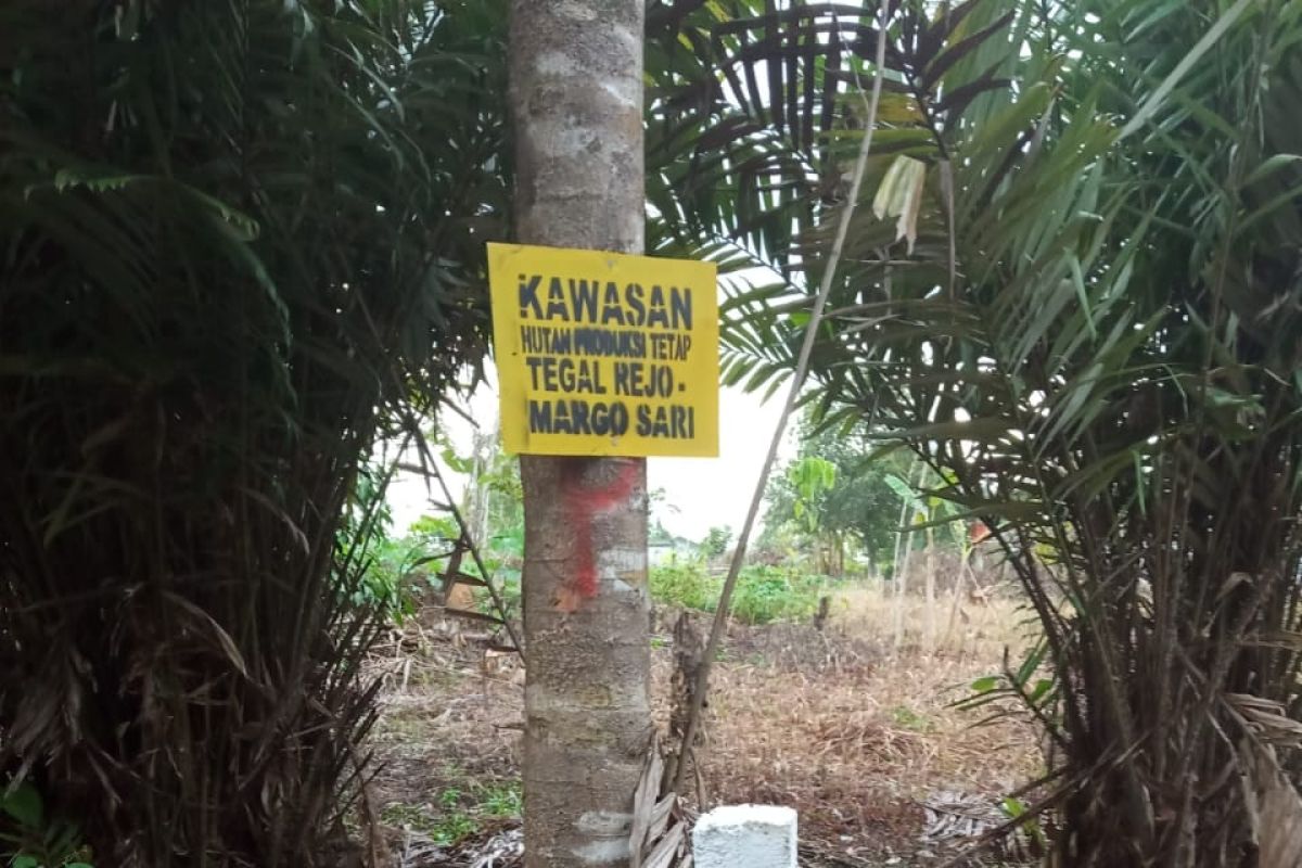 Kawasan hutan seluas 730 hektare di Bintan diputihkan