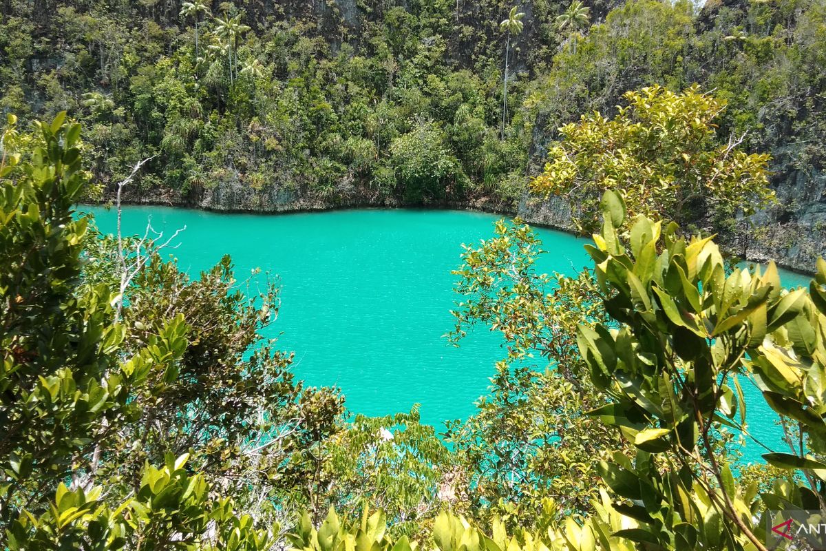 Melakukan perjalanan tanpa pemandu, wisatawan asal Swiss terjebak di hutan Raja Ampat