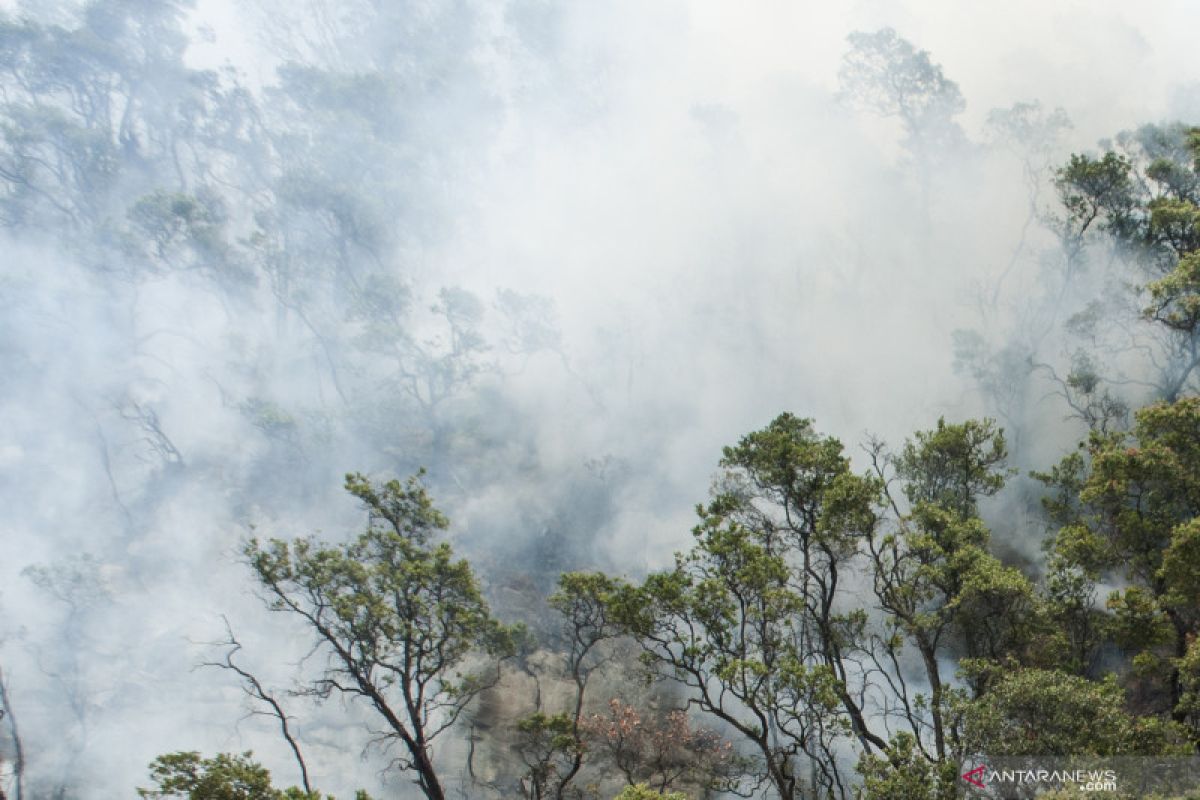 Kebakaran lahan Kawah Putih mulai padam