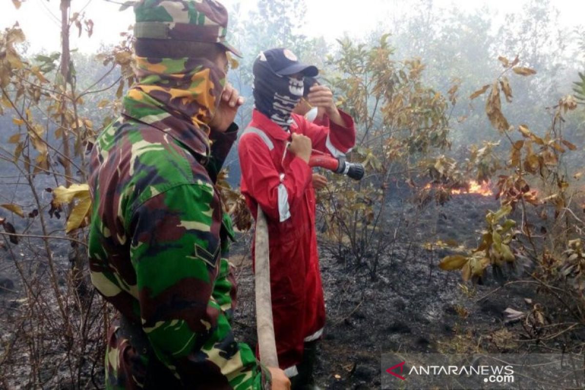 DPKP Ogan Komering Ulu memadamkam api karhutla