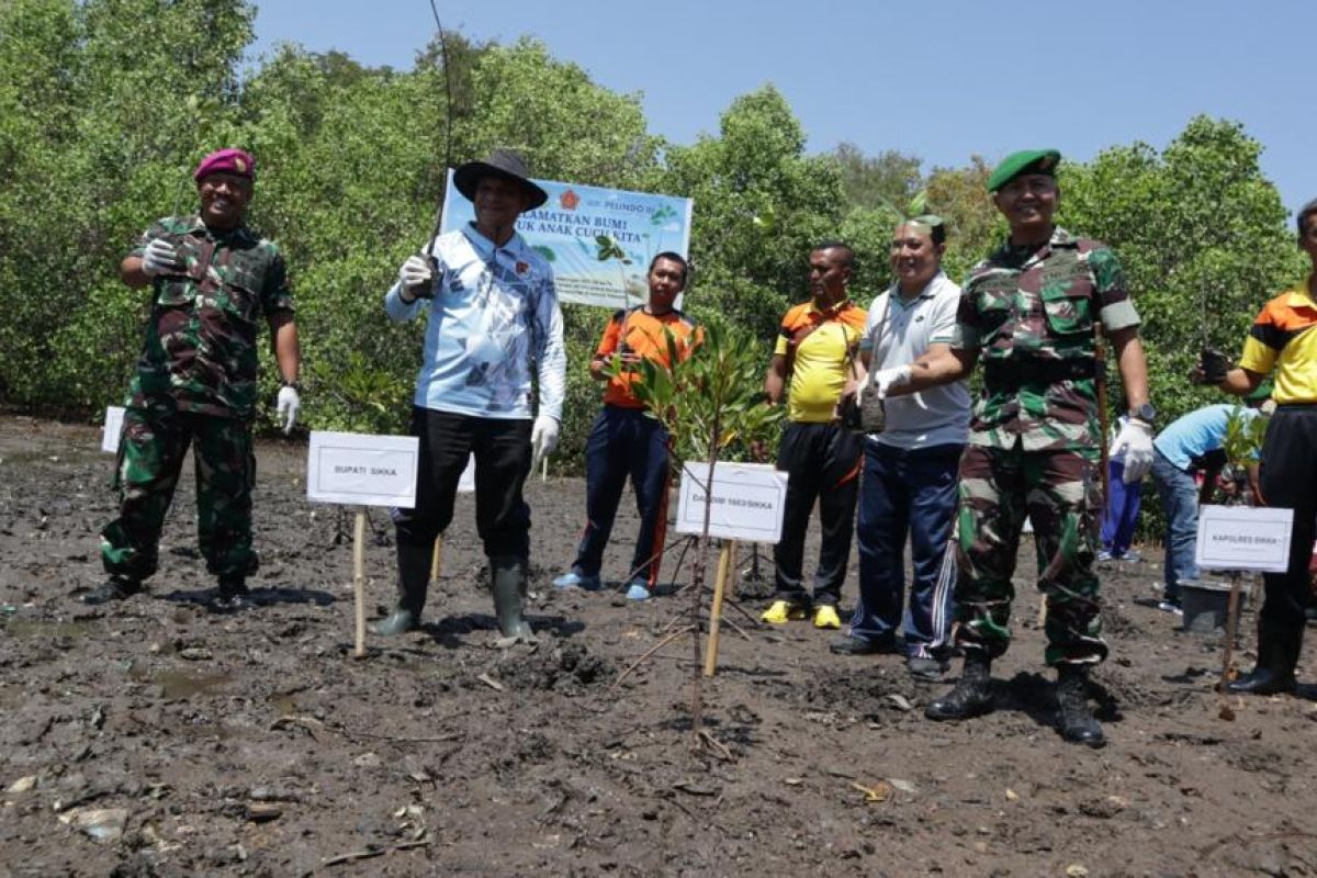 Sinergi Pelindo III-TNI tanam ratusan ribu bibit bakau