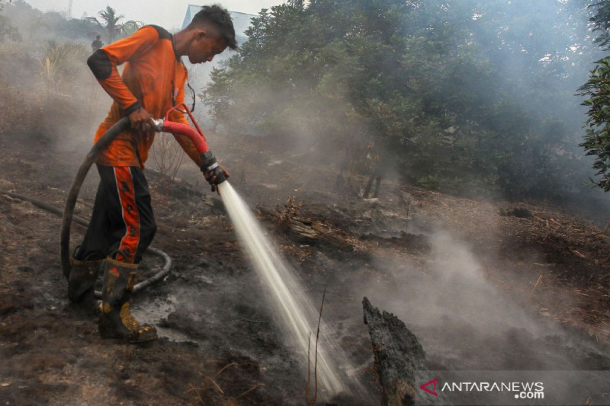 BNPB fokus cegah kebakaran lahan gambut di enam provinsi