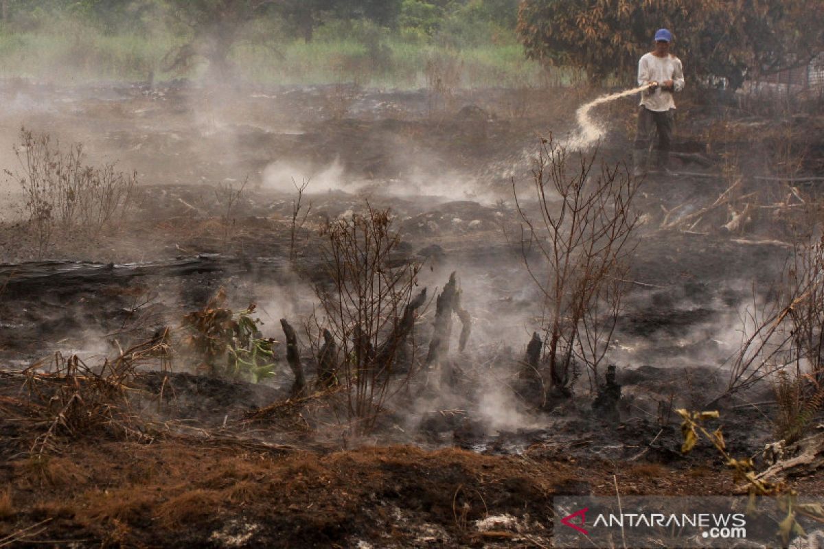 Jumlah titik panas melonjak, Pekanbaru kembali diselimuti kabut asap