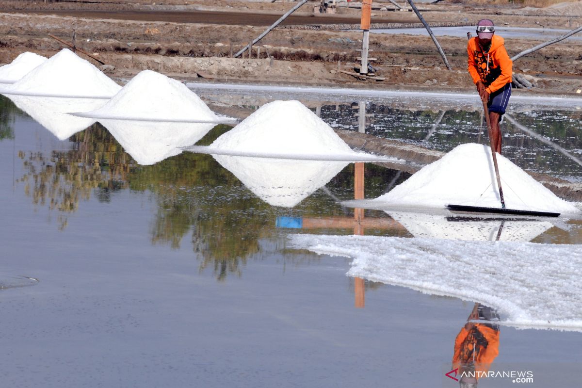 BPPT builds pilot project to produce industrial salt