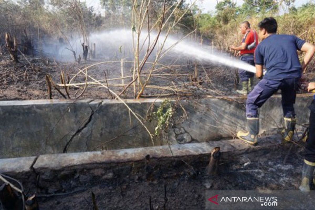 Pemkot Palu tangani 70 kasus kebakaran lahan kosong