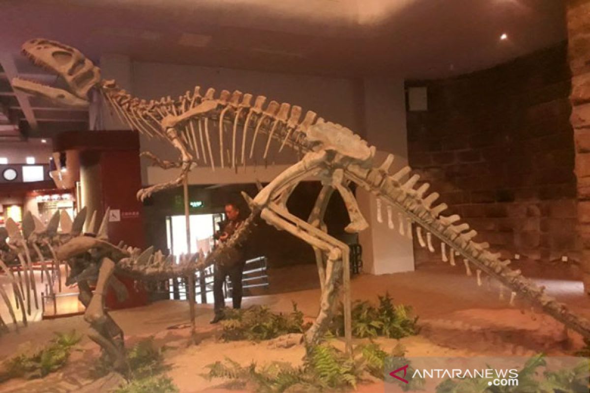 Bekas jejak kaki dinosaurus 100 juta tahun ditemukan lagi di China