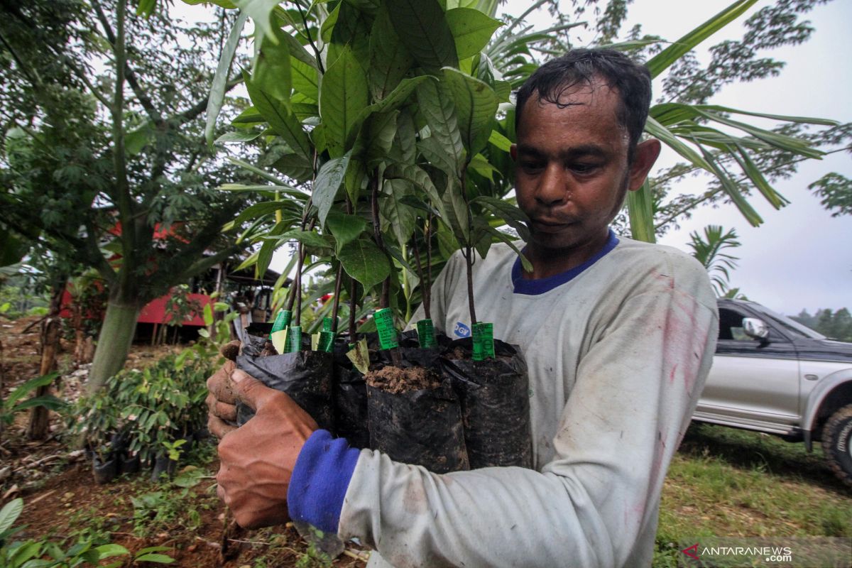 Lahan eks kombatan GAM gagal dilaksanakan di Aceh Jaya