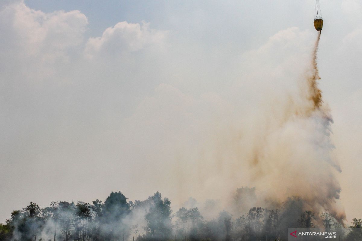 Satgas: Tiga heli pemadam karhutla dipindahkan dari Riau. Begini penjelasannya