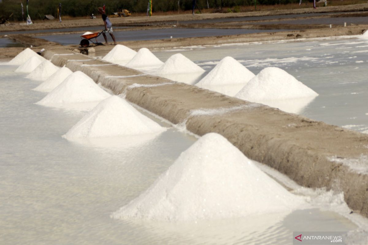 Produksi garam di Bipolo mencapai 8.300 ton