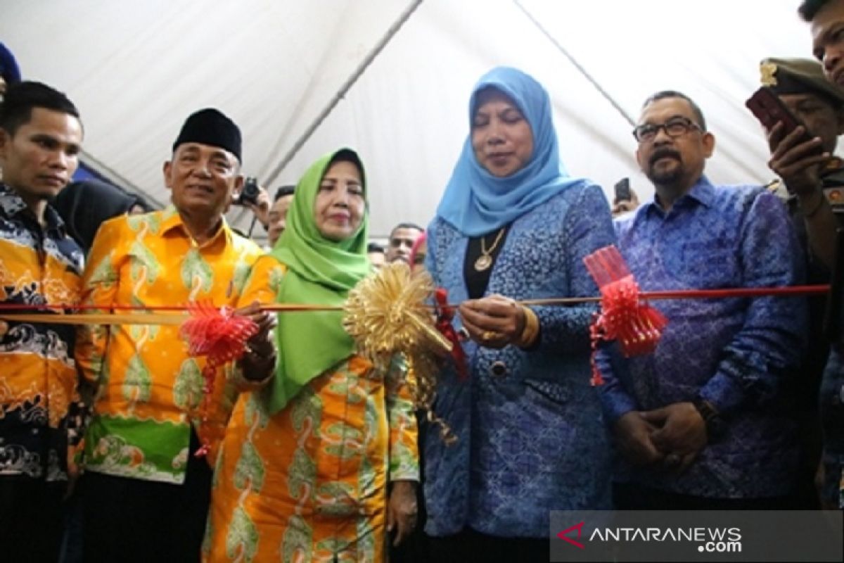 Pelalawan Expo 2019 untuk gaet investor