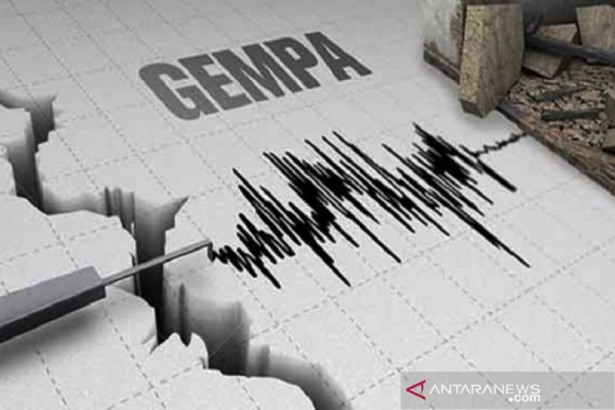 Gempa tektonik  5,4  guncang Jailolo