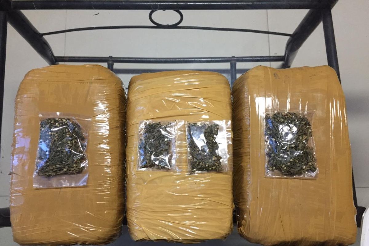 Polres Bintan tangkap pria bawa tiga kilogram ganja