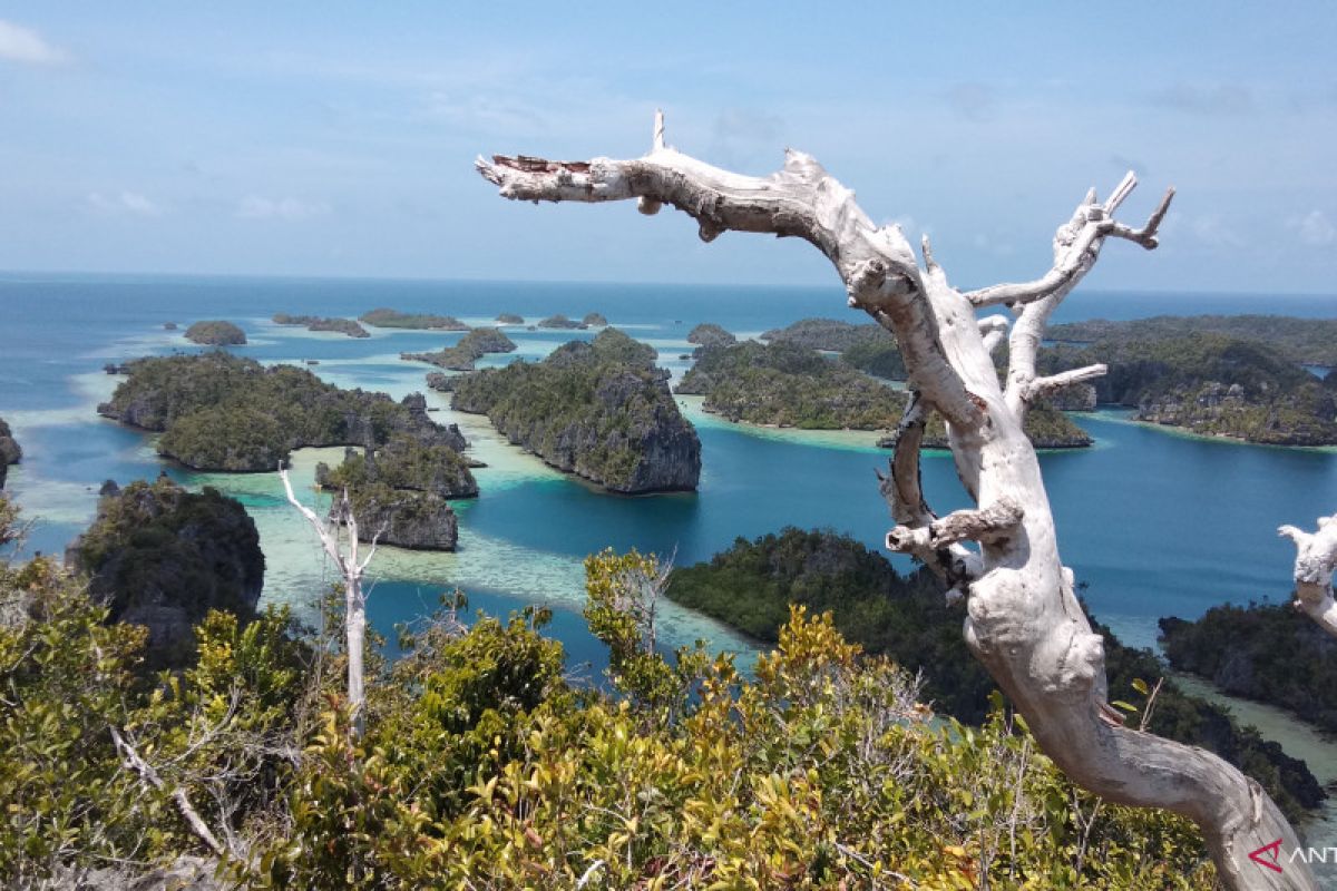 Menhub kaji pembangunan bandara di Raja Ampat