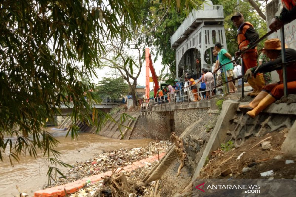 Sampah kayu dan pohon di Pintu Air Manggarai dibersihkan