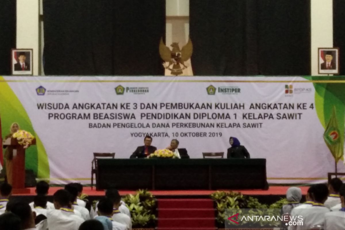 Kemenko Perekonomian menyebut peluang kerja sektor sawit semakin terbuka