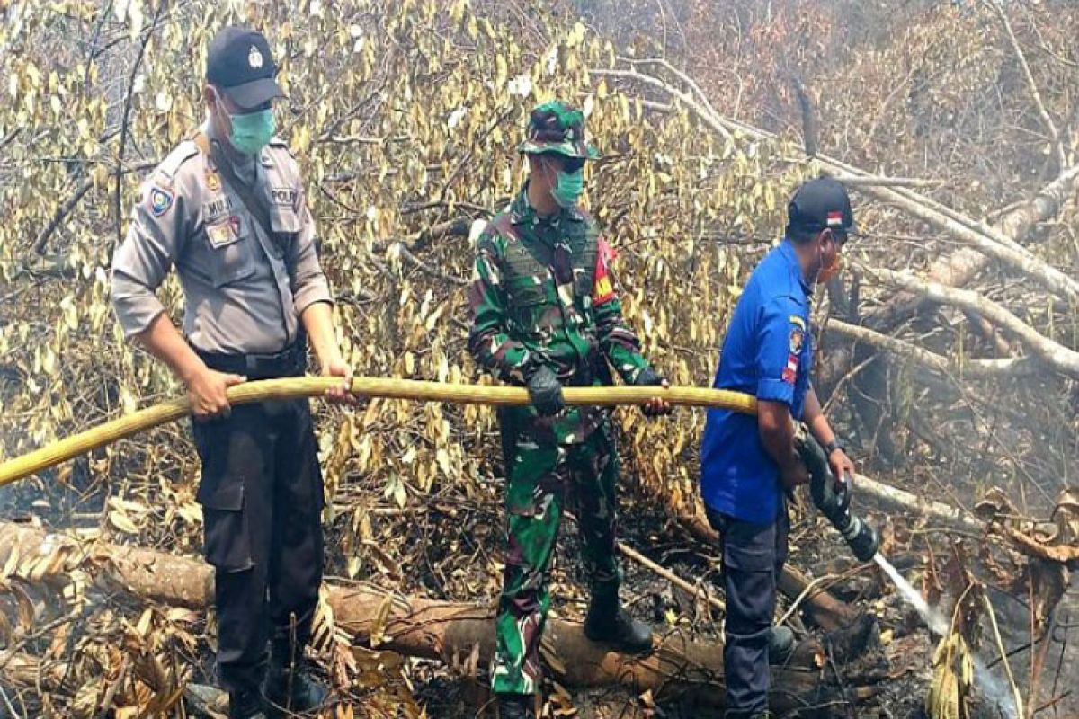 KLHK diminta klasifikasi konsesi yang terbakar