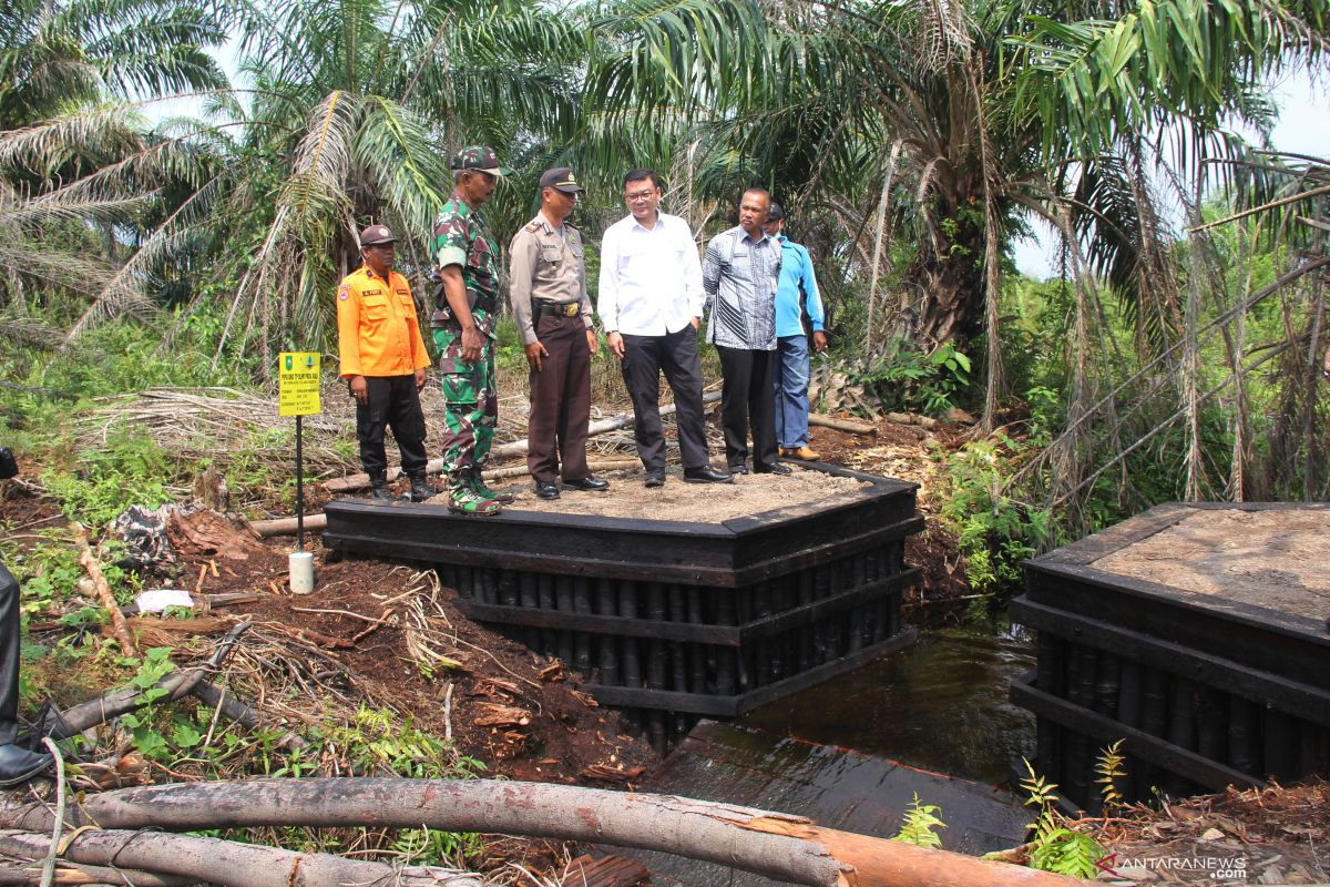 120 ribu hektare gambut jadi PR restorasi BRG pada 2020