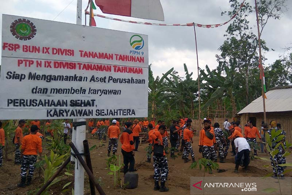 Serikat Pekerja PTPN IX amankan aset dari penjarah di  Cilacap