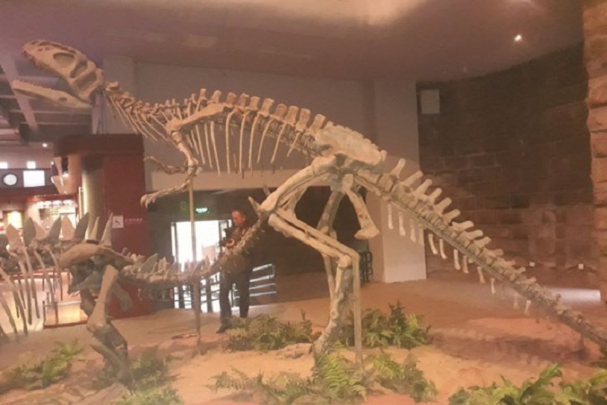 Di China, bekas jejak kaki sekelompok dinosaurus 100 juta tahun ditemukan lagi