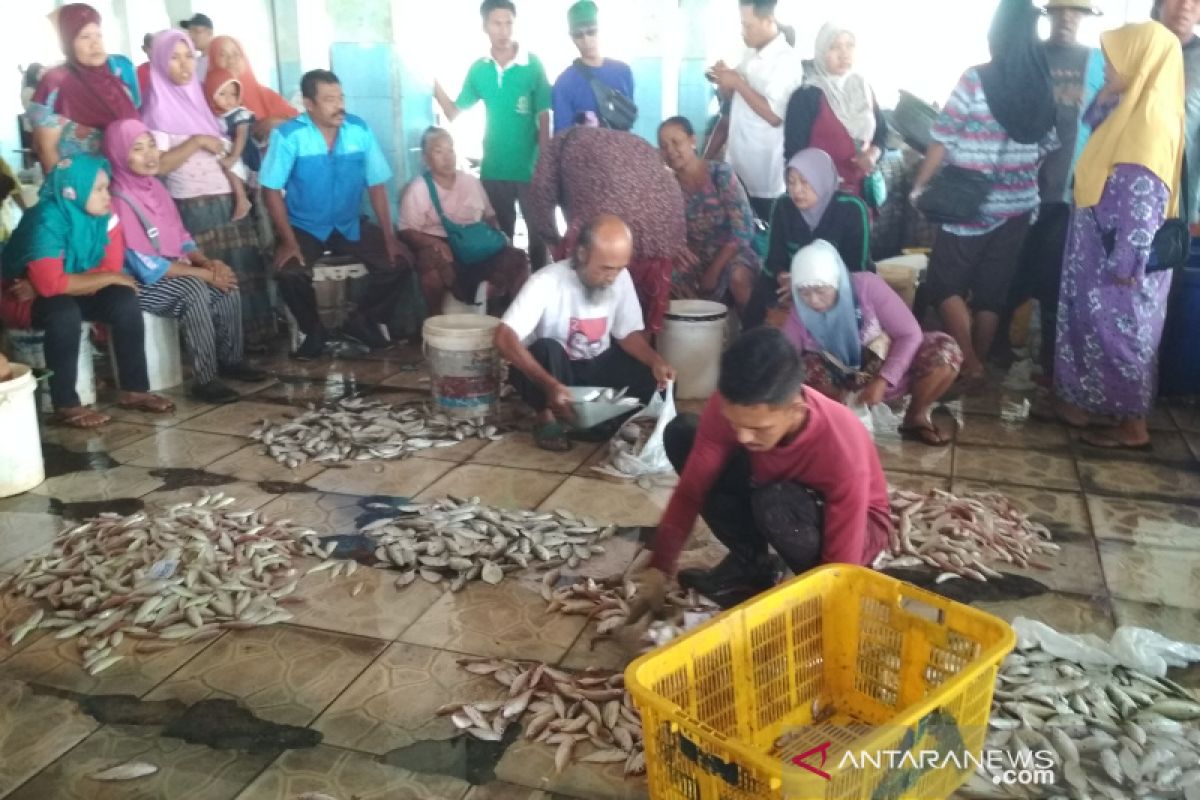 Nelayan Jepara keluhkan hasil tangkapan turun