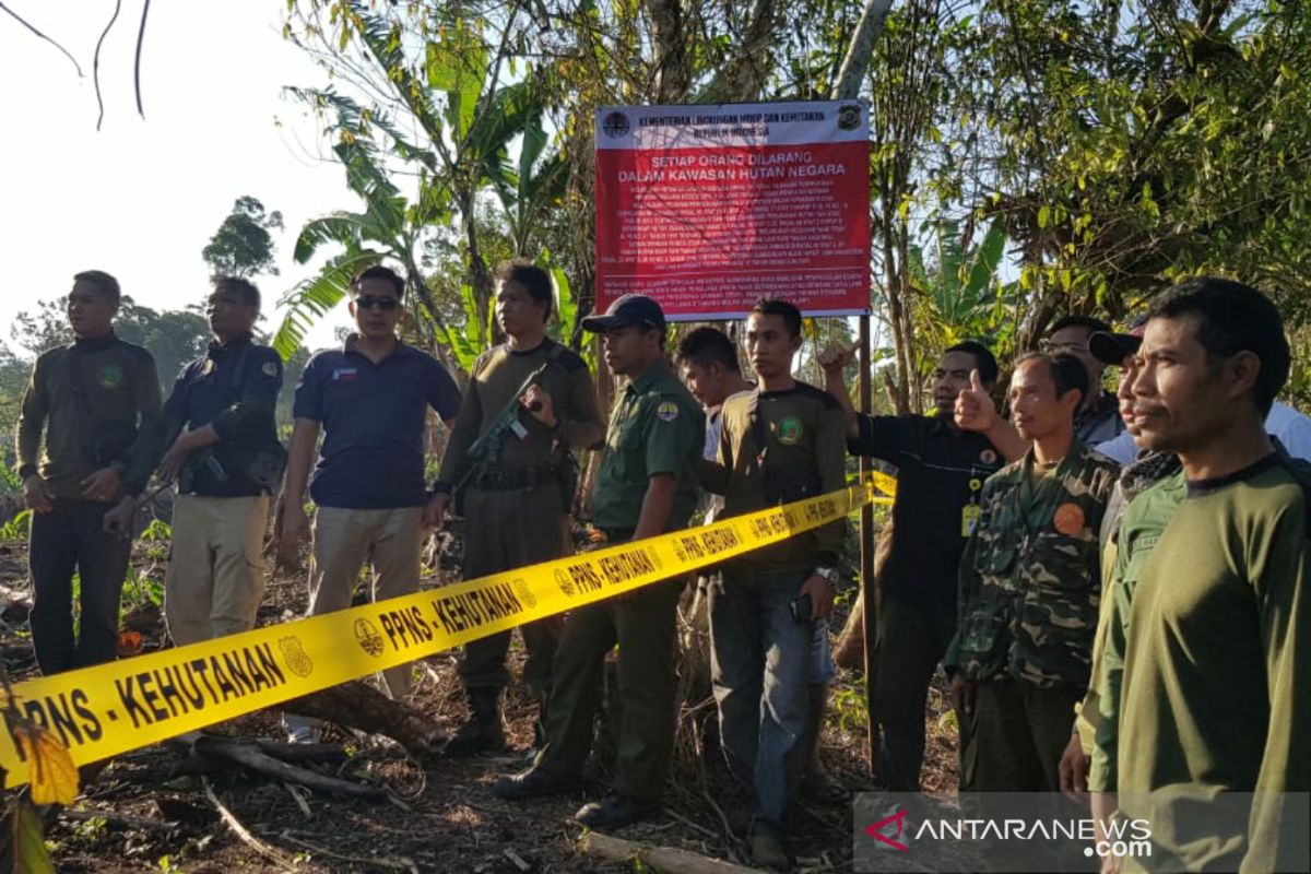 Polhut mengungkap kasus perambahan 12 hektare lahan Tahura Nuraksa