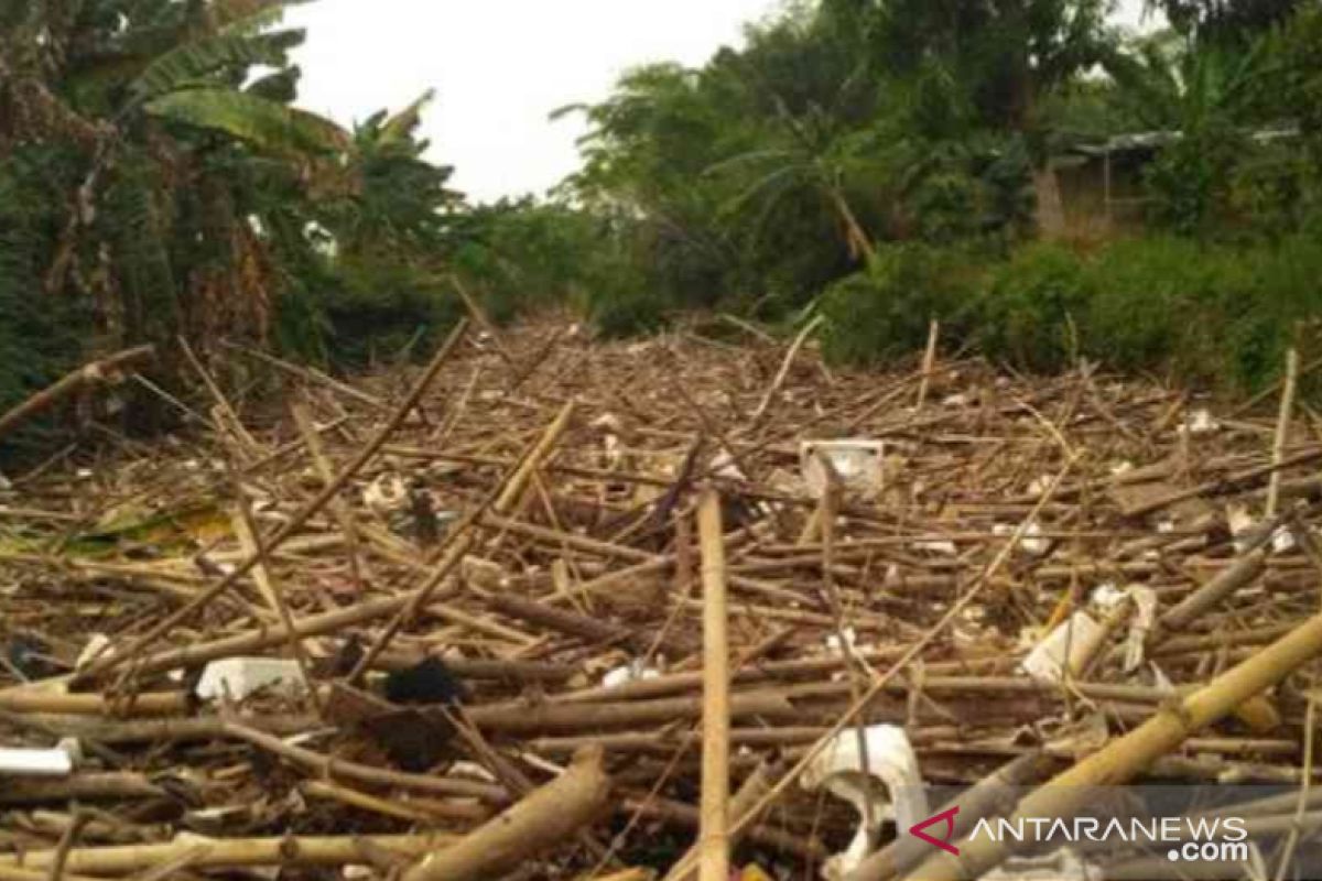 Sungai Cikeas di Jatiasih Bekasi tertutup  sampah bambu