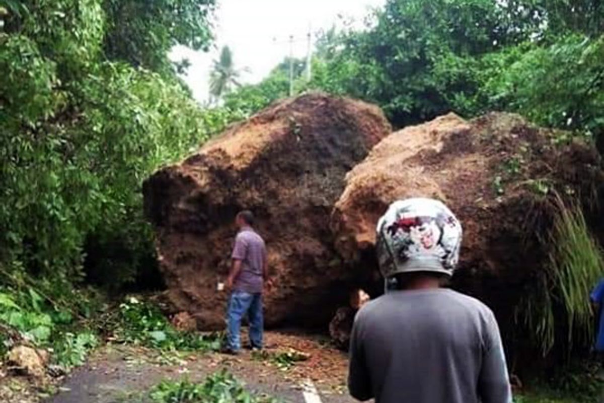 Gempa akibatkan  bongkahan batu tutup ruas jalan menuju Desa Tial