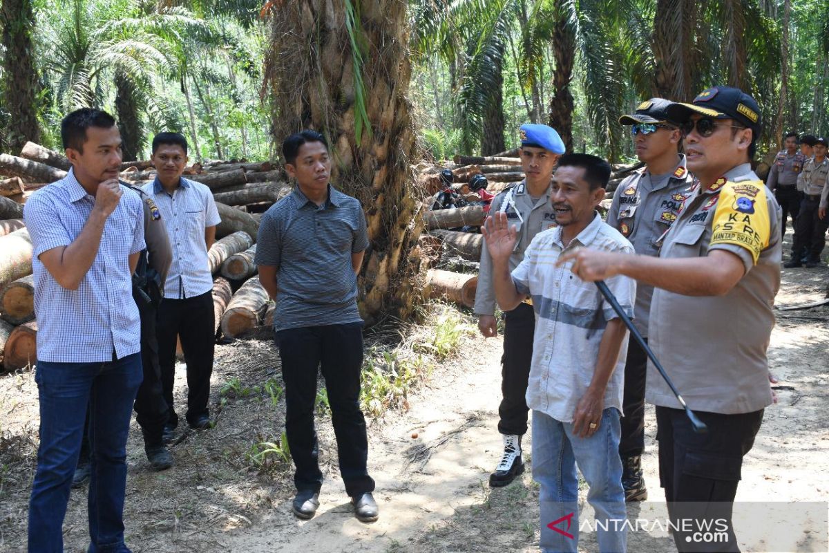 Polres Tanah Laut bongkar pembalakan liar rambah hutan Riam Adungan