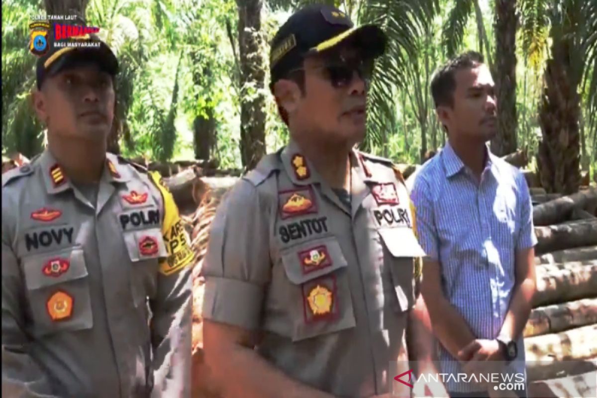 Polisi periksa dua tersangka pembalakan hutan di Kabupaten Tala
